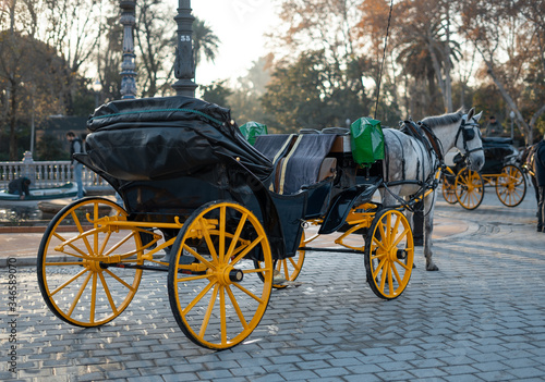 Traditional and touristic horse carriage in Seville  Plaza Espa  a
