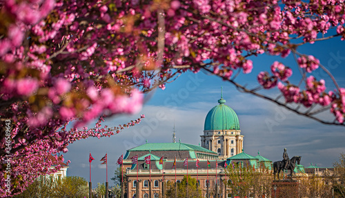 Amazing spring cityscape with Buda Castle Royal Palace in Buda Castle district photo