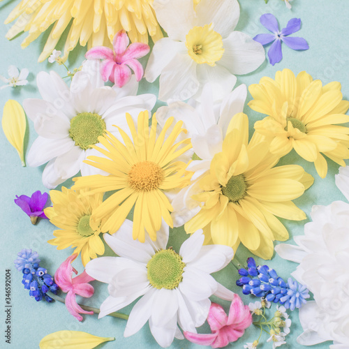 beautiful flowers  on blue paper background © Maya Kruchancova