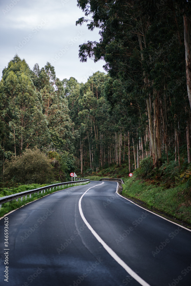 winding road in the middle of the forest, cloudy summer day winding road in the middle of the forest, cloudy summer day