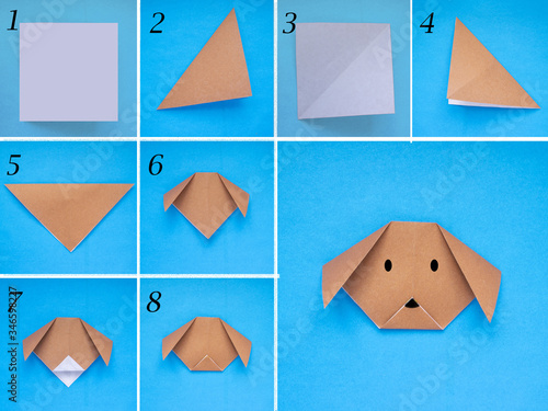 Step by step photo instruction how to make origami paper dog. Simple diy kids children's concept.