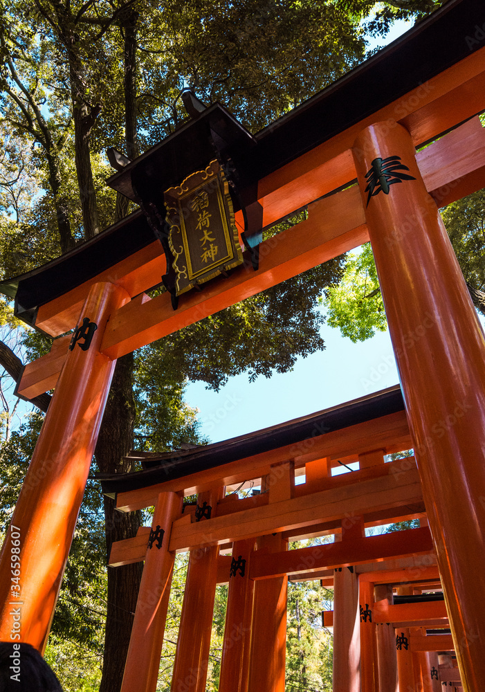 Orange torii gates at the Fushimi Inari Shrine, Kyoto Orange torii gates at the Fushimi Inari Shrine, Kyoto
