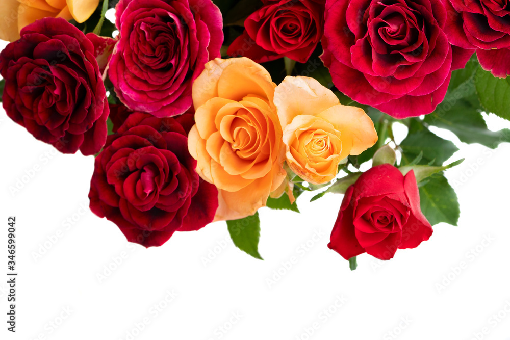 Obraz premium orange and red roses