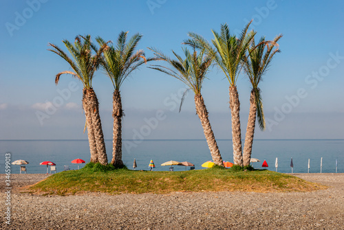 Obraz na płótnie Palm trees on an empty beach with abandoned parasol umbrellas lined up looking out to the Mediterranean sea at La Herradura, Costa Tropical, Spain on a sunny summer morning w salonie