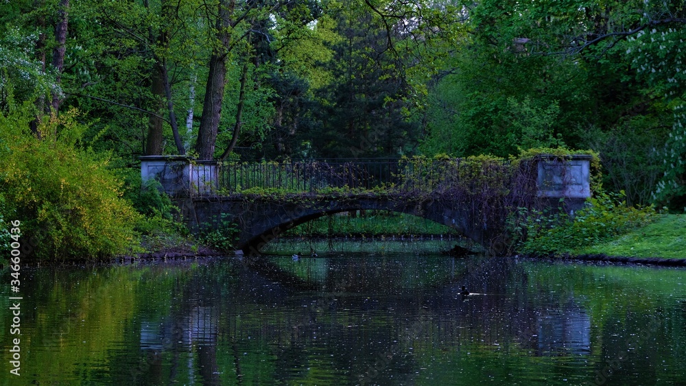 Beautiful and climatic bridge in the park. Spring green, pond