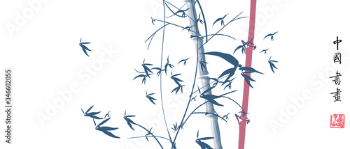 vector Bamboo of a floral background