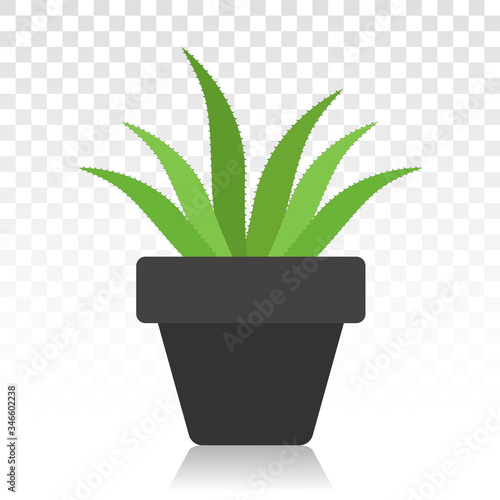 Green aloe vera with potted plant flat icon for apps and websites
