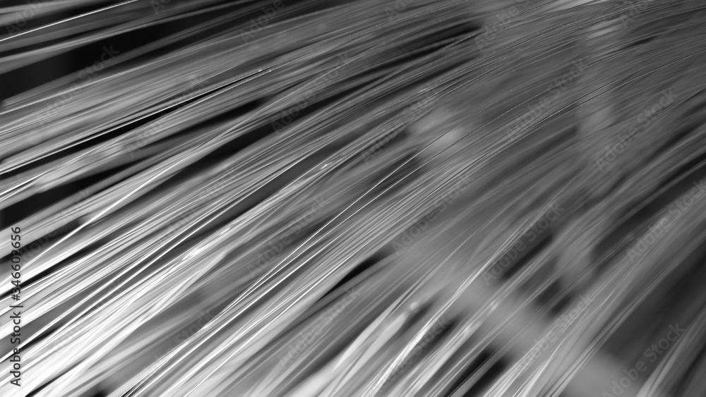 Obraz premium fiber optic closeup