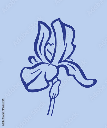 Iris flower icon.