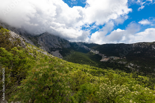 Fototapeta Naklejka Na Ścianę i Meble -  Beautiful landscape in the spring, Dalmatia, Croatia