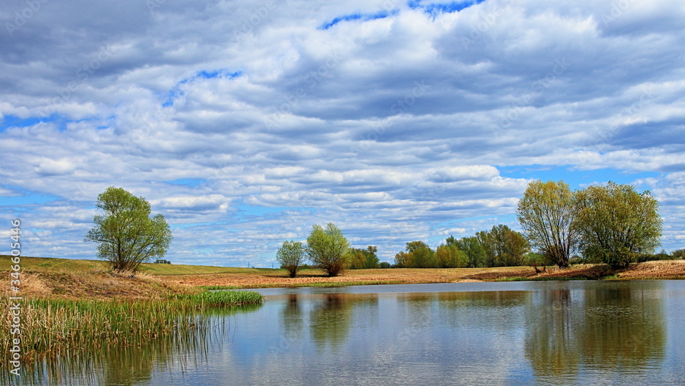 Fototapeta premium Staw w okolicy odry, błękitne zachmurzone niebo, drzewa na polanie