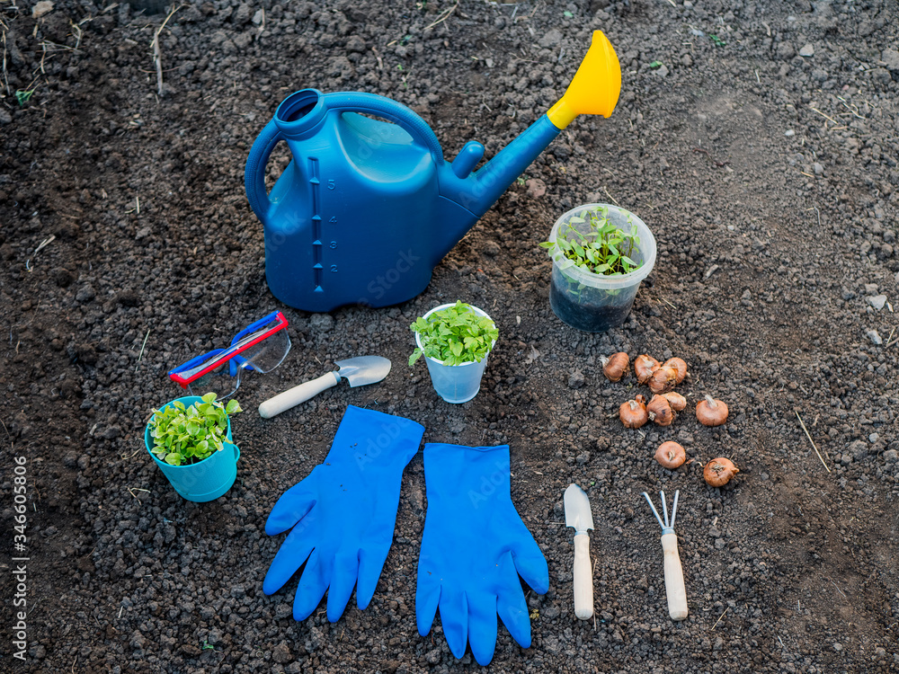 gardener florist set. Blue watering can for watering, goggles, gloves, scoop, rake, pitchfork, tubers of plants on background of dark earth. Spring planting time gardener florist set. Blue watering can for watering, goggles, gloves, scoop, rake, pitchfork, tubers of plants on background of dark earth. Spring planting time