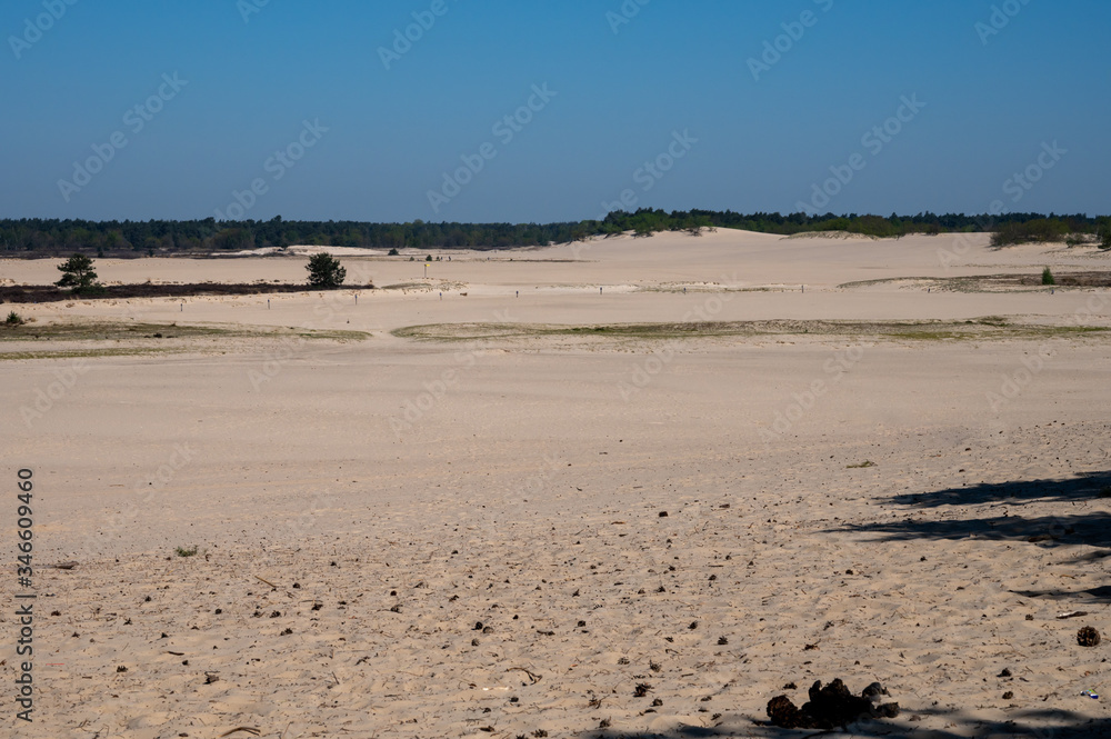 Desert nature landscapes in national park De Loonse en Drunense Duinen, North Brabant, Netherlands