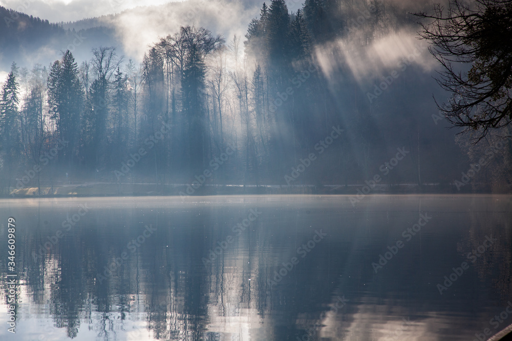 banner of sun rays coming through trees by a lake banner of sun rays coming through trees by a lake