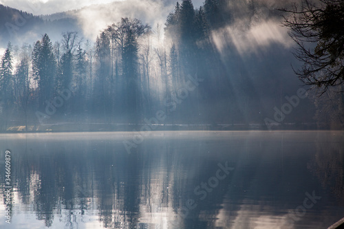 banner of sun rays coming through trees by a lake