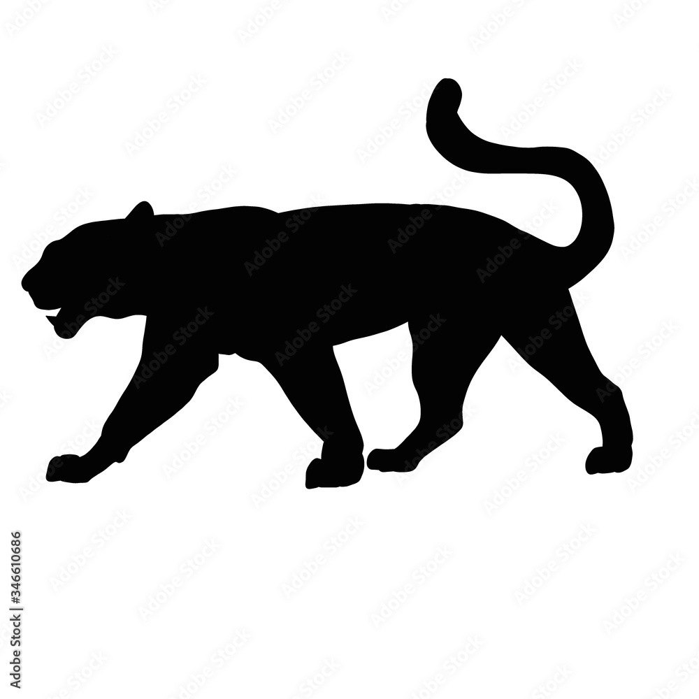Naklejka premium Black panther illustration