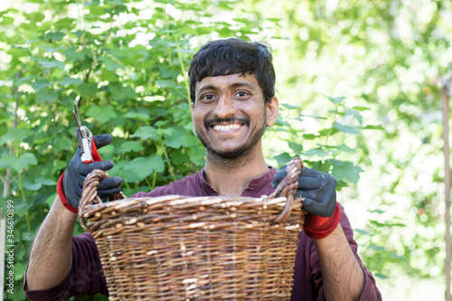 Junger Mann gärtnert in einem Urban Garden als Freizeit Gärtner photo