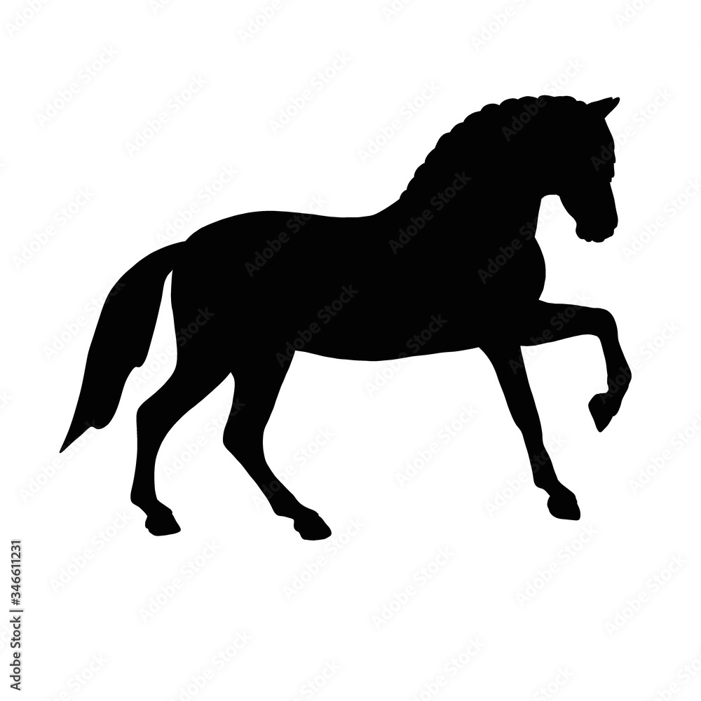 silhouette of a horse