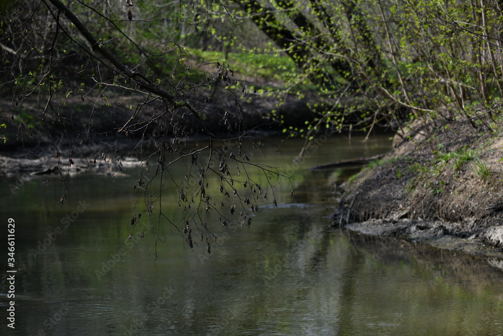 spring river in the forest park on a spring day