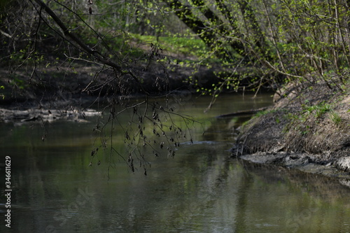 spring river in the forest park on a spring day