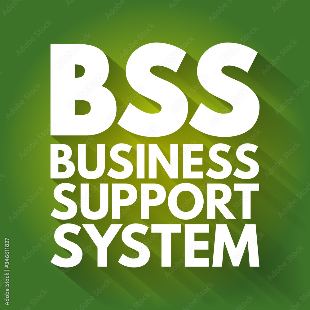 Fototapeta premium BSS - Business Support System acronym, business concept background