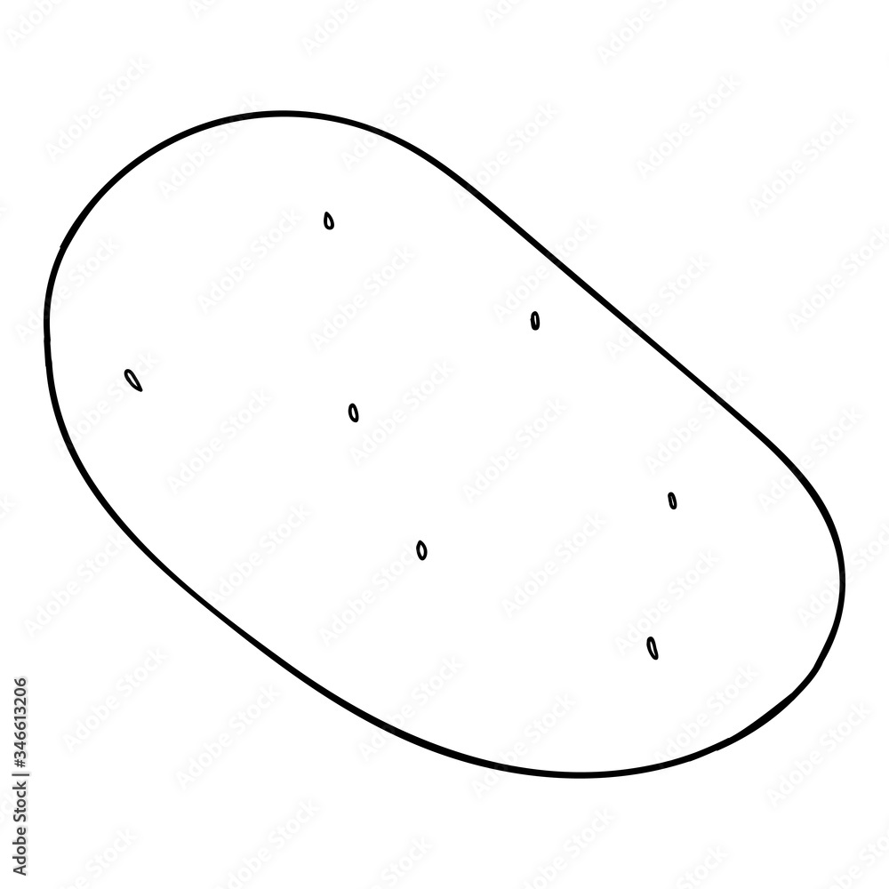 Vector outline illustration of a black fresh potato is on a white background Vector outline illustration of a black fresh potato is on a white background