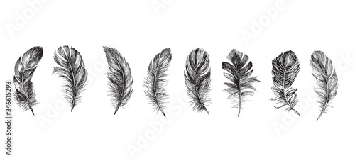 Feather icon set. Hand drawn illustration. Doodle sketch.
