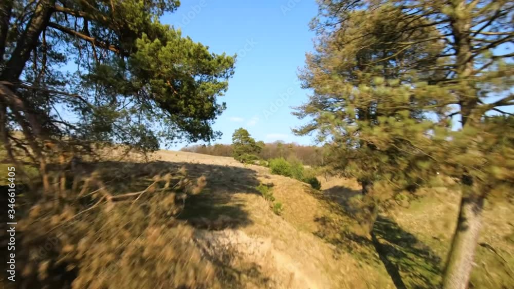 FPV drone flies quickly and maneuverable around trees and meadows on a sunny spring day FPV drone flies quickly and maneuverable around trees and meadows on a sunny spring day
