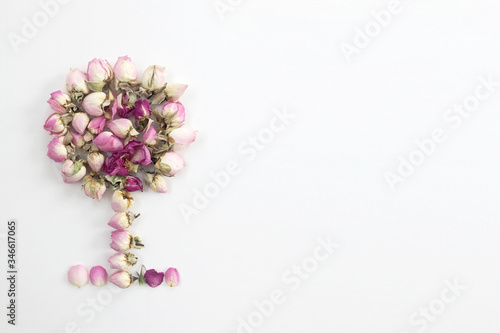 Decorative tree of small pink roses on a white background. There is space for text.