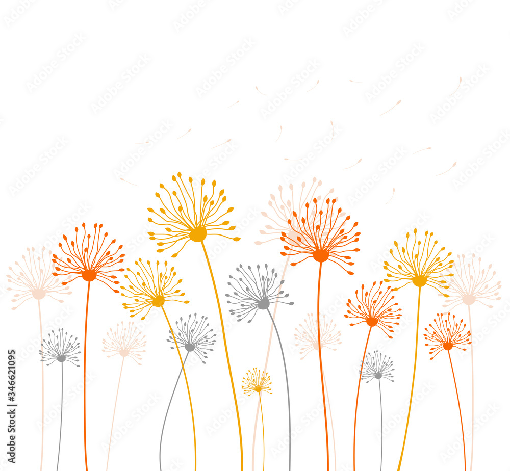 Obraz premium Colored dandelion background. Vector illustration