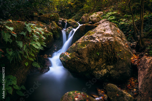 waterfall in the forest