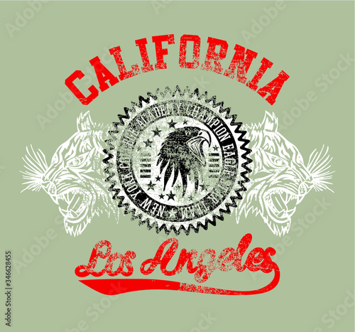 California College Athletic Eagle and tiger Print embroidery graphic design vector art