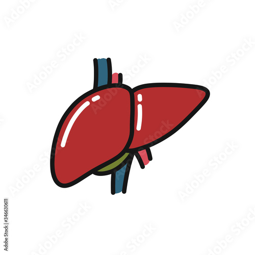 human liver doodle icon, vector illustration