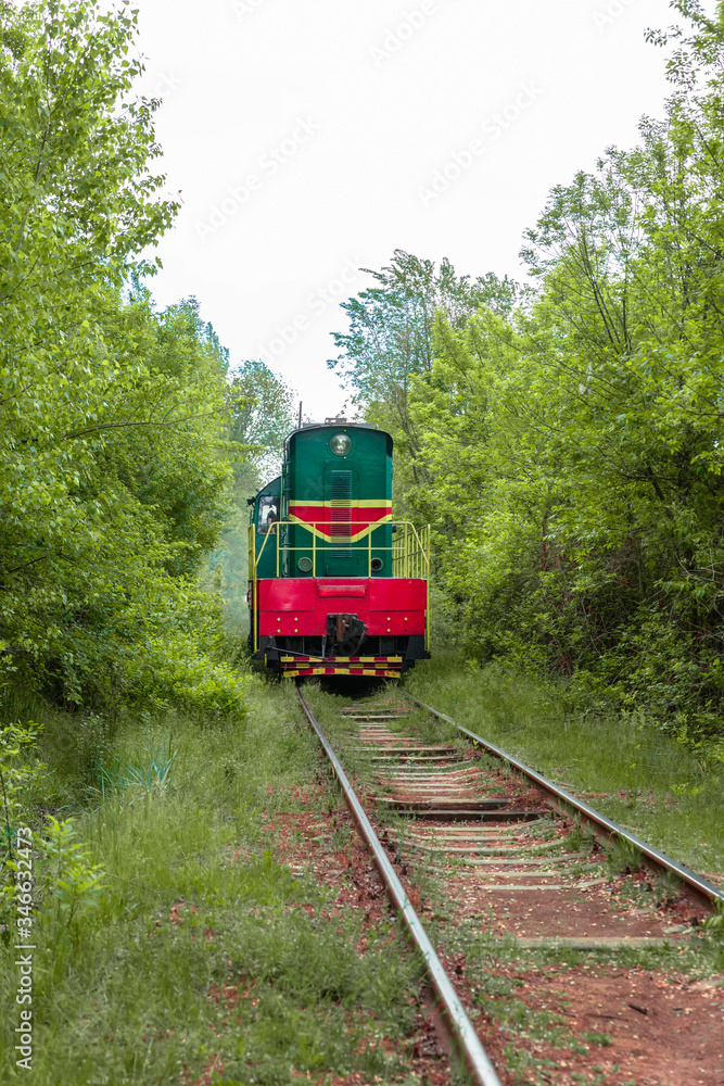 Obraz premium train in the forest