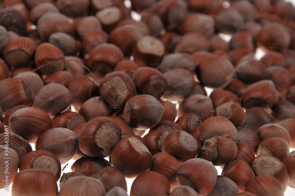 Obraz premium Hazelnuts pattern isolated on white background. Close-up.
