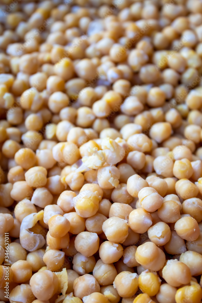 White boil Chickpea or Kabuli Chana White boil Chickpea or Kabuli Chana