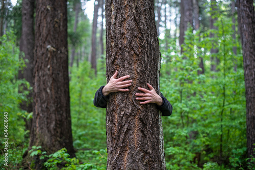 A person behind a tree in the forest