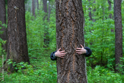 A person behind a tree in the forest