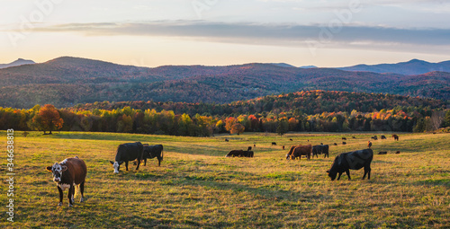 Wallpaper Mural Autumn Sunset on country farm road near Montpelier Vermont Torontodigital.ca