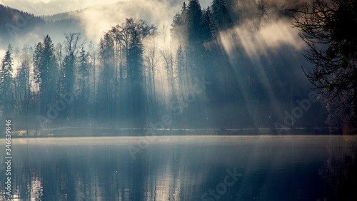 banner of sun rays coming through trees by a lake © Melinda Nagy