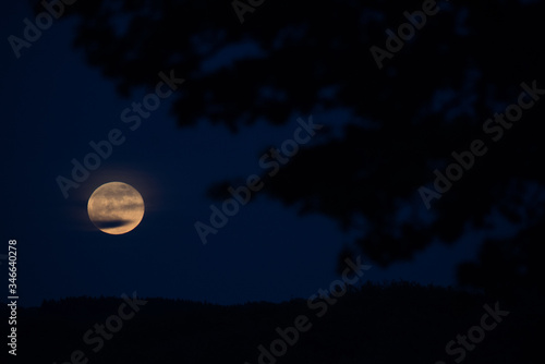 Wallpaper Mural Vollmond, Mond, heller Mond, Himmel, Nachthimmel Torontodigital.ca