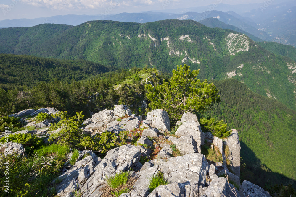 Landscape from The Red Wall Peak to Rhodopes, Bulgaria Landscape from The Red Wall Peak to Rhodopes, Bulgaria
