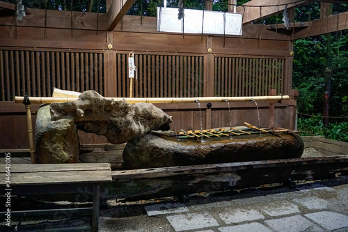 京都 下鴨神社