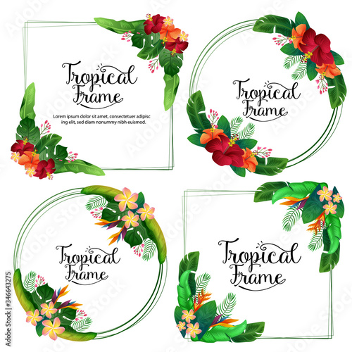 tropical frame hibiscus frangipani summer border