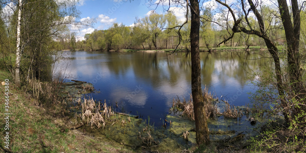 Spring carp fishing on the pond.
