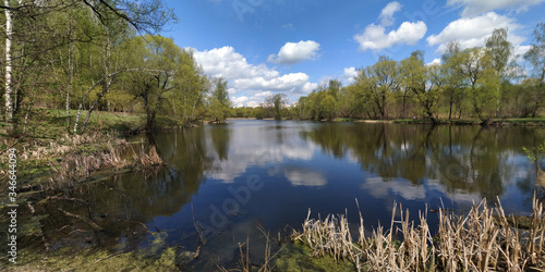 Fototapeta Naklejka Na Ścianę i Meble -  Spring carp fishing on the pond.