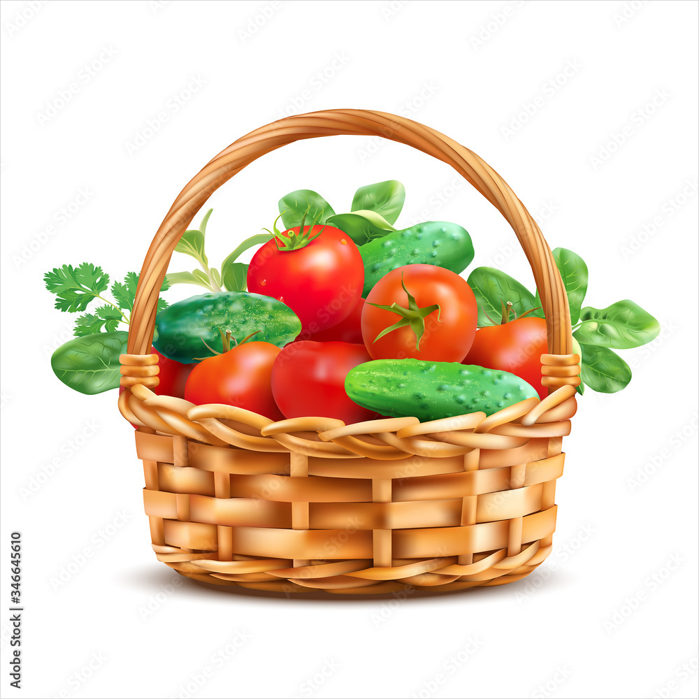 Basket with tomatoes, cucumbers and fresh herbs isolated on white. Vector illustration. Basket with tomatoes, cucumbers and fresh herbs isolated on white. Vector illustration.