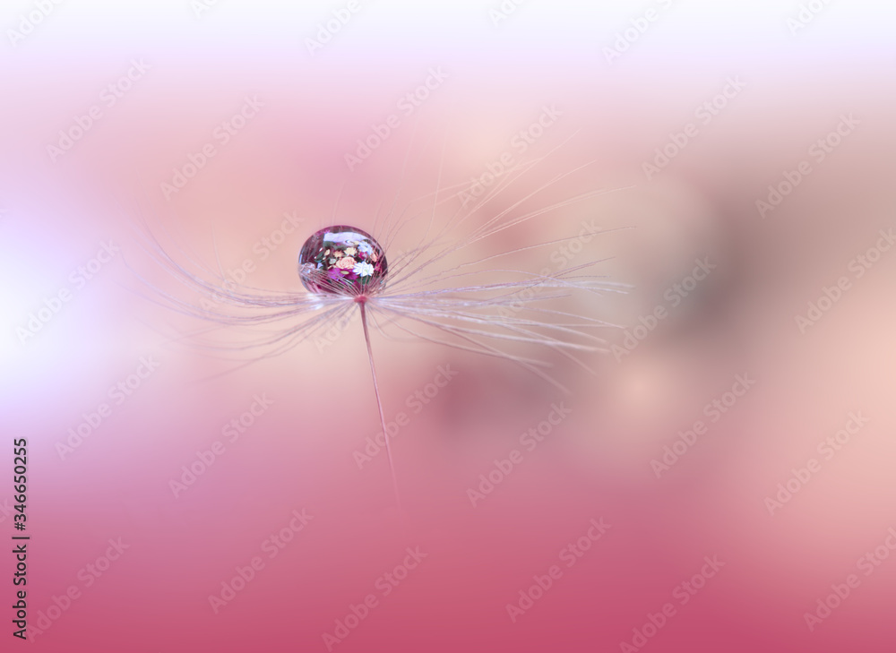 Beautiful Nature Background.Floral Art Design.Abstract Macro Photography.Pastel Flower.Dandelion Flowers.Pink Background.Creative Artistic Wallpaper.Wedding Invitation.Celebration,love.Close up View.