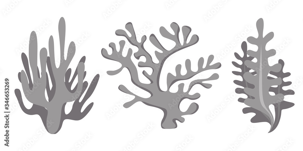 Fototapeta premium Underwater sea icon set. Coral, seaweed sketch graphic elements. Trendy coral reef under water collection. Cool hand drawing vector illustration isolated on white background