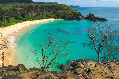 Panoramic view of Sancho Beach and Sancho bay, Fernando de Noronha Island, Brazil. Natural beach with trees and plants around